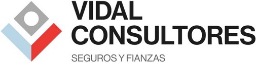 Vidal Consultores